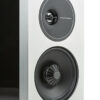 Definitive Technology Demand D11 schwarz (Paarpreis) Regallautsprecher