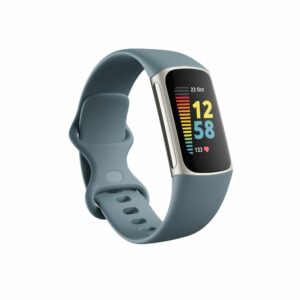 Fitbit Charge 5 Graublau / Edelstahl Platin Fitness Tracker