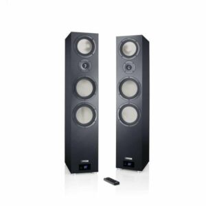 Canton Smart GLE 9 S2 schwarz Set Standlautsprecher