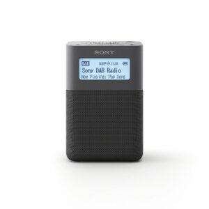 Sony XDR-V20DH grau DAB Radio